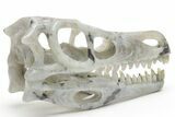 Carved Labradorite Dinosaur Skull #218491-6